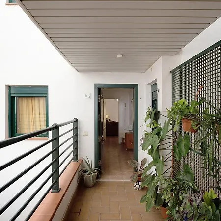 Palmeras Apartment *