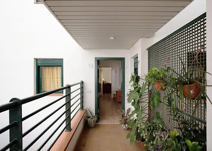 Palmeras Apartman *